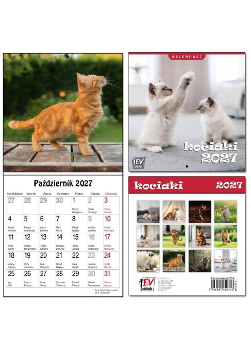 Kalendarz 2027 dla dzieci 16x32 13 plansz Kociaki