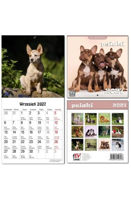 Kalendarz 2027 dla dzieci 16x32 13 plansz Psiaki
