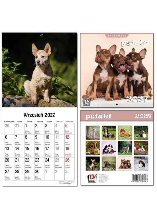 Kalendarz 2027 dla dzieci 16x32 13 plansz Psiaki