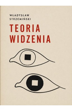 Teoria widzenia