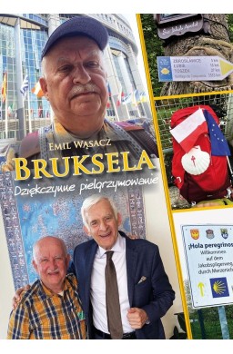 Bruksela. Dziękczynne pielgrzymowanie
