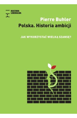 Polska. Historia Ambicji. Jak wykorzystać wielką..
