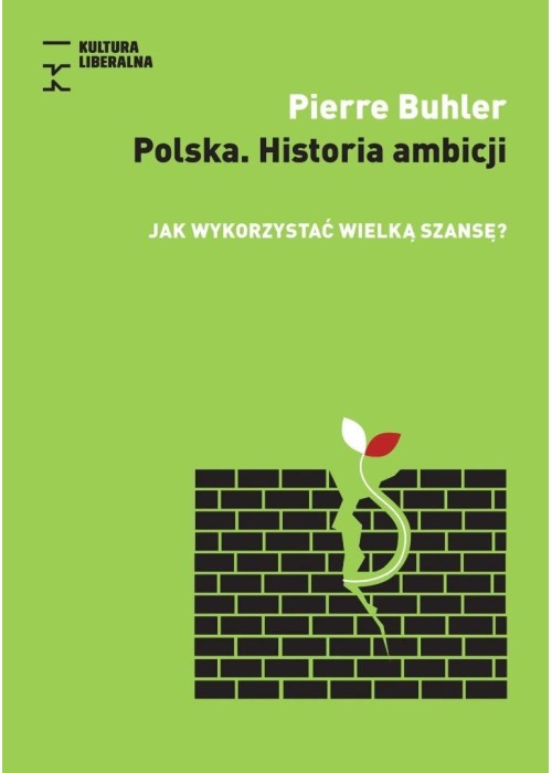 Polska. Historia Ambicji. Jak wykorzystać wielką..