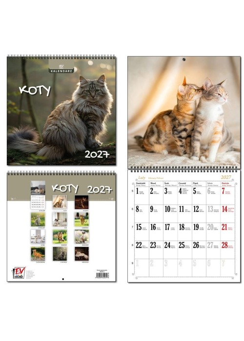 Kalendarz 2027 30x60 13 planszowy Koty