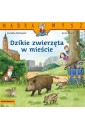 Mądra Mysz. Dzikie zwierzęta w mieście