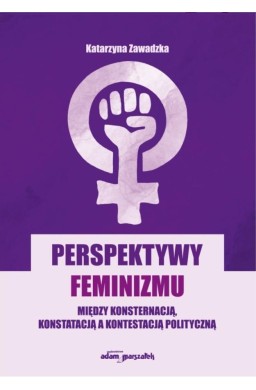 Perspektywy feminizmu. Między konsternacją...