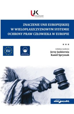 Znaczenie Unii Europejskiej w...