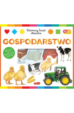 Gospodarstwo. Akademia mądrego dziecka
