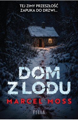 Dom z lodu