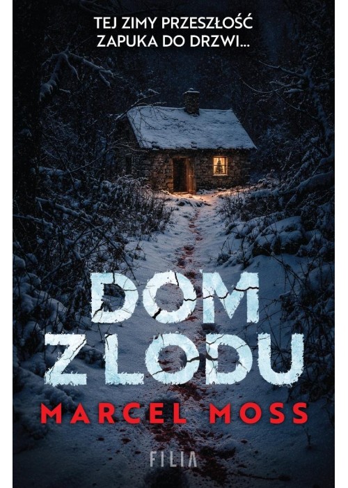 Dom z lodu