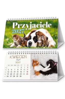 Kalendarz 2027 biurkowy A5 TBM Przyjaciele