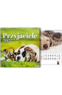 Kalendarz 2027 wieloplanszowy Przyjaciele