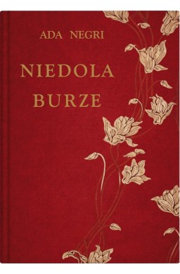 Niedola burze
