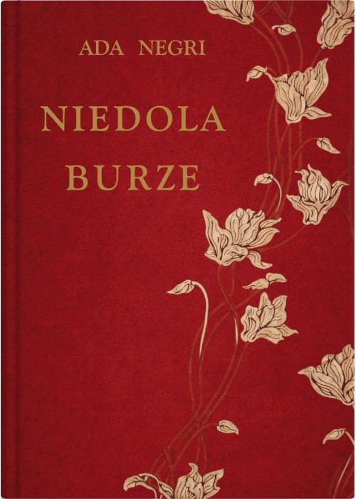 Niedola burze
