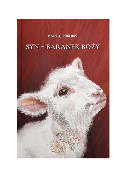 Syn - Baranek Boży
