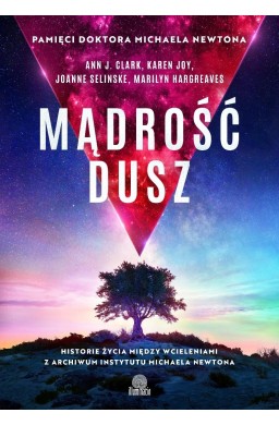 Mądrość dusz. Historie życia między wcieleniami...