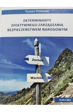 Determinanty efektywnego zarządzania...