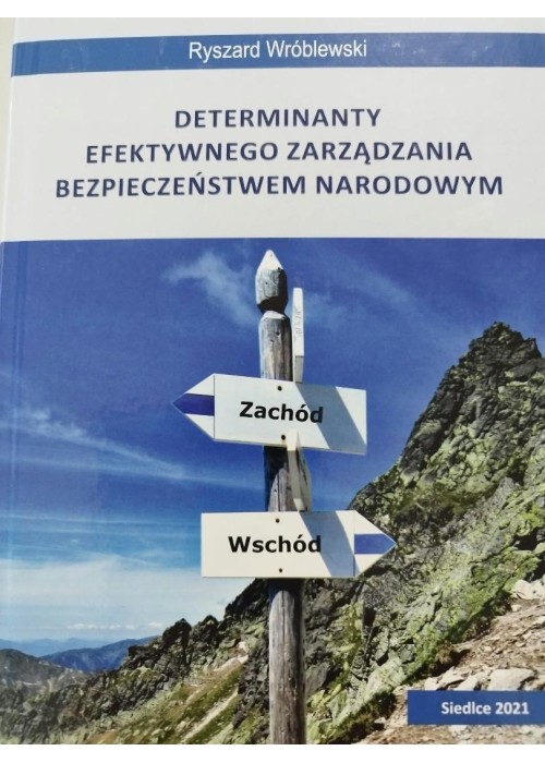 Determinanty efektywnego zarządzania...