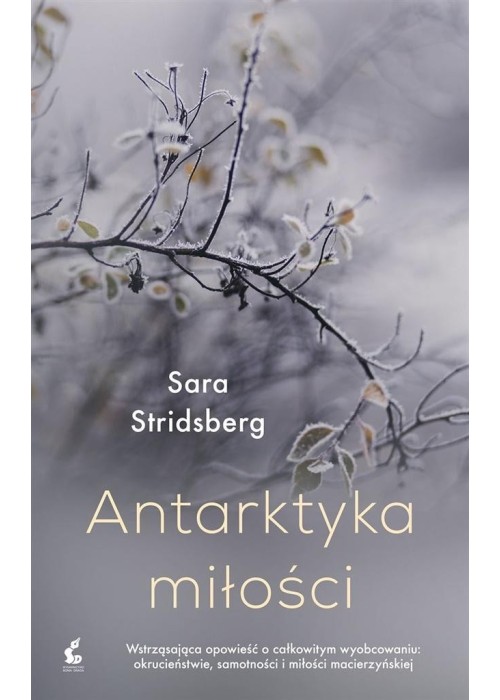 Antarktyka miłości