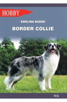 Border Collie w.2020