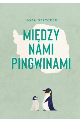Między nami pingwinami