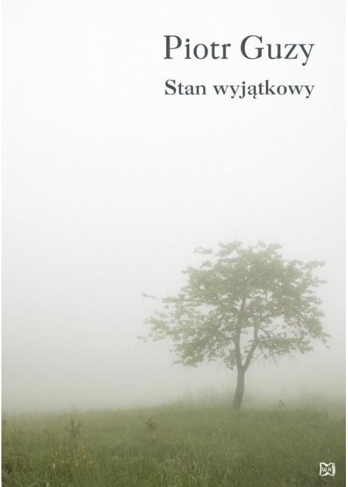 Stan wyjątkowy