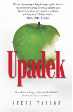 Upadek - Steve Taylor