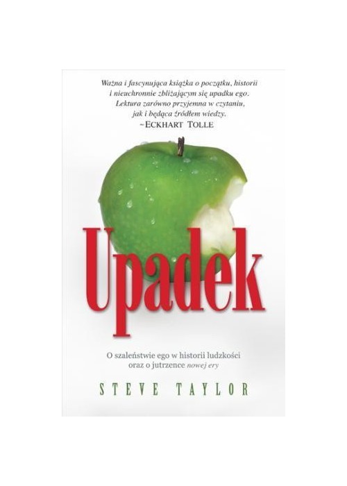 Upadek - Steve Taylor