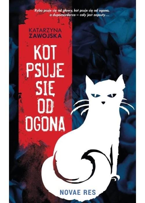 Kot psuje się od ogona