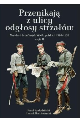 Przenikają z ulicy odgłosy strzałów