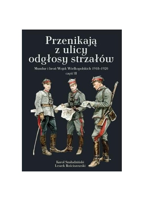 Przenikają z ulicy odgłosy strzałów