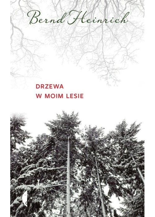 Drzewa w moim lesie
