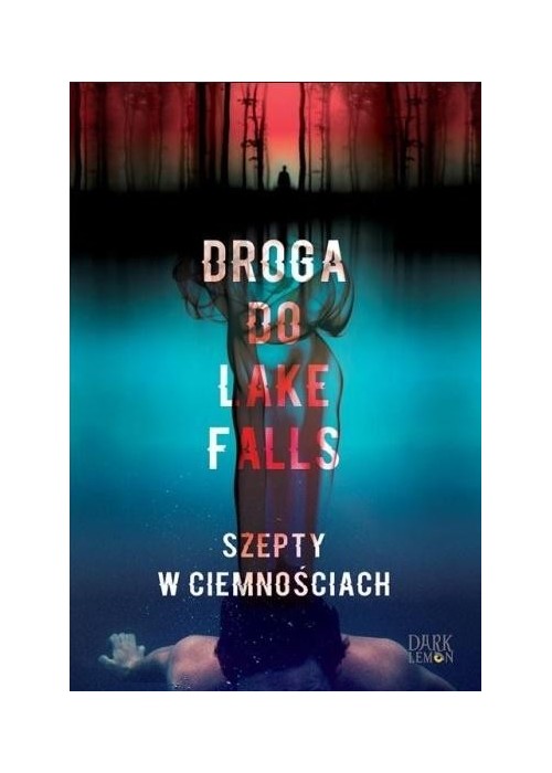 Droga do Lake Falls