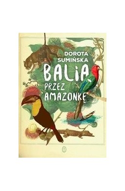 Balią przez Amazonkę