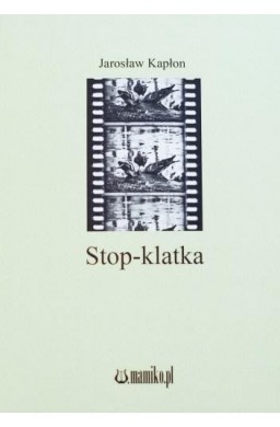 Stop-klatka