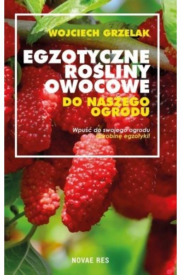 Egzotyczne rośliny owocowe do naszego ogrodu