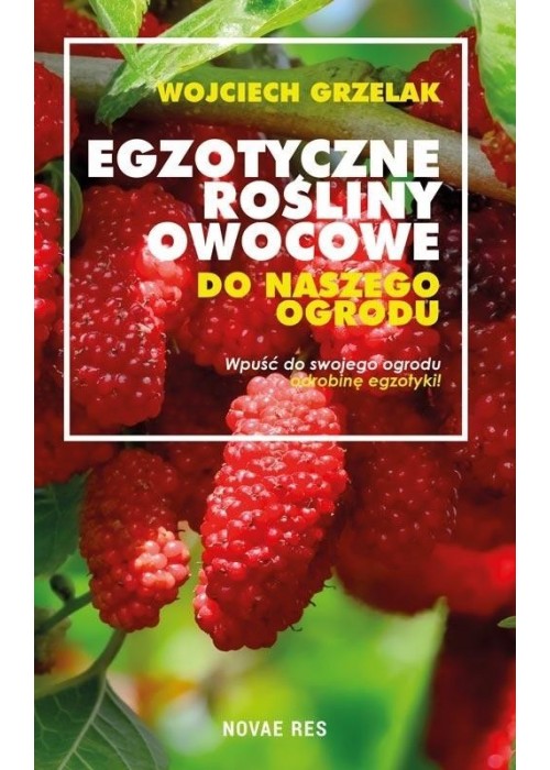 Egzotyczne rośliny owocowe do naszego ogrodu