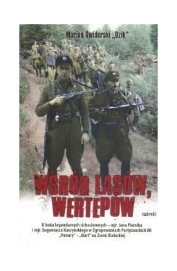 Wśród lasów i wertepów