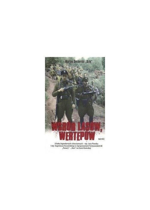 Wśród lasów i wertepów Wśród lasów i wertepów