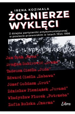 Żołnierze Wyklęci. Z dziejów partyzantki...