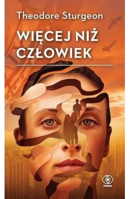 Więcej niż człowiek