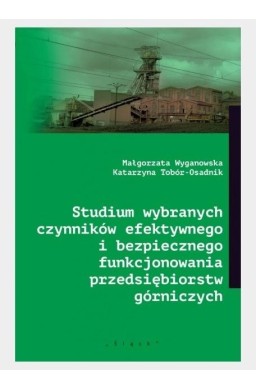 Studium wybranych czynników efektywnego...