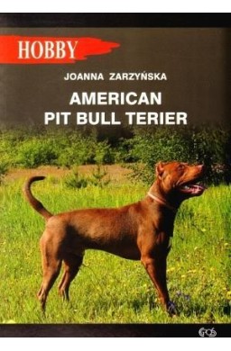 American pit bull terier