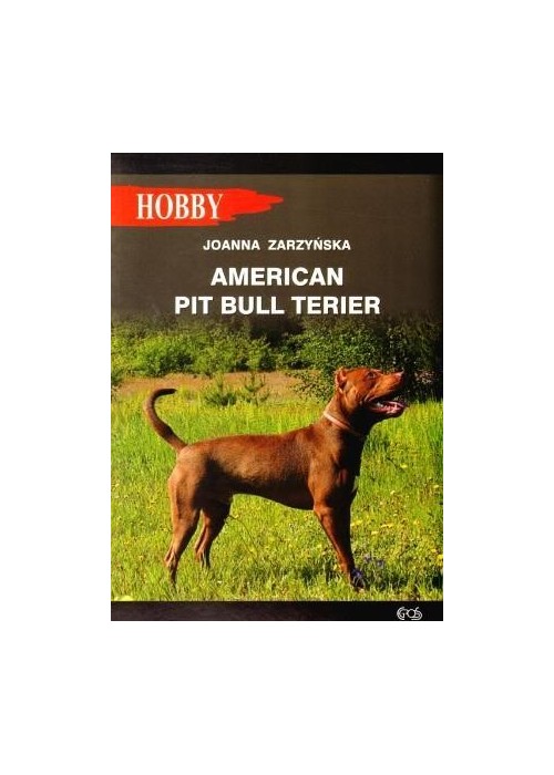 American pit bull terier