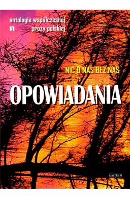 Opowiadania. Nic o nas bez nas