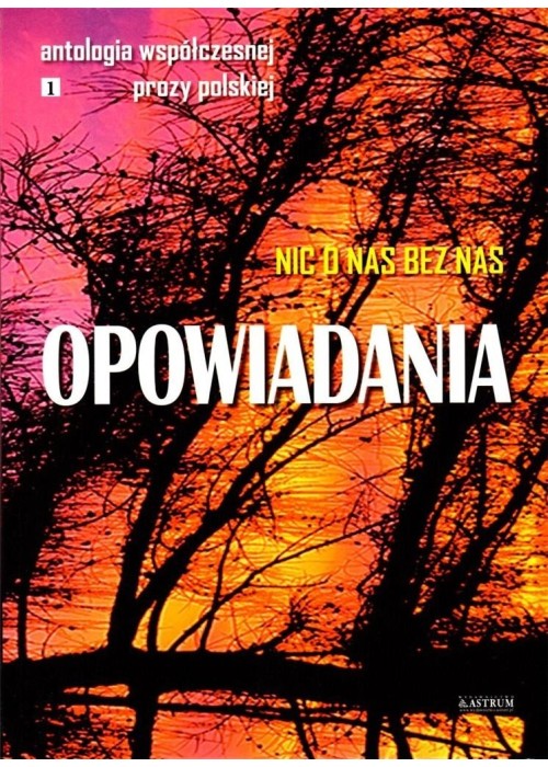 Opowiadania. Nic o nas bez nas