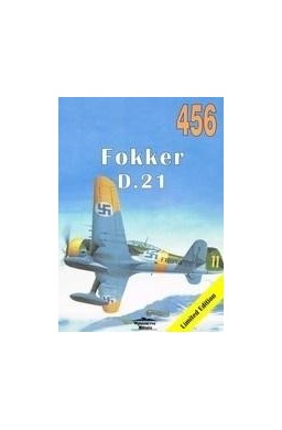 Fokker D. 21 456