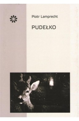 Pudełko