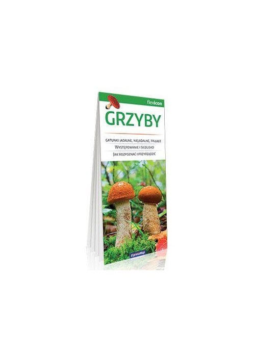 Grzyby