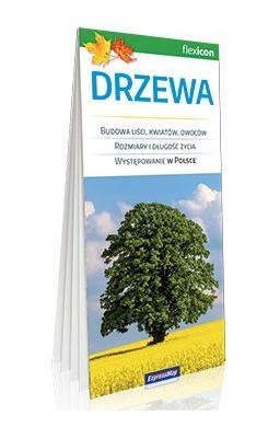 Drzewa